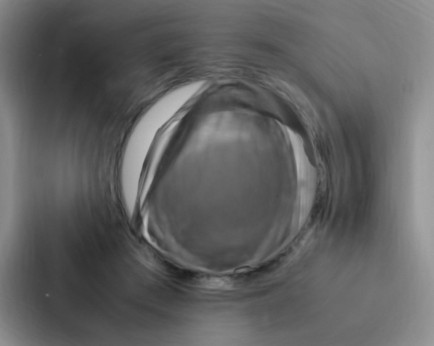 X0000086940409200705141806