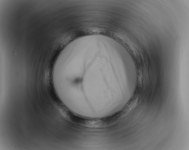 X0000086940410200705141806