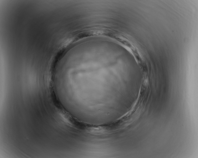 X0000086940411200705141806