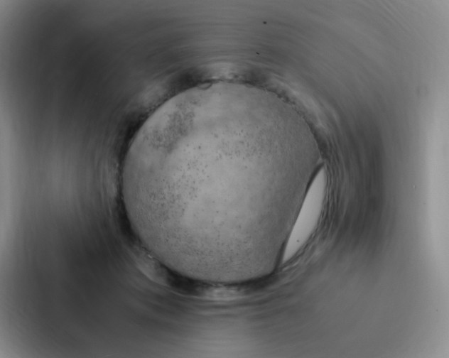 X0000086940413200705141806
