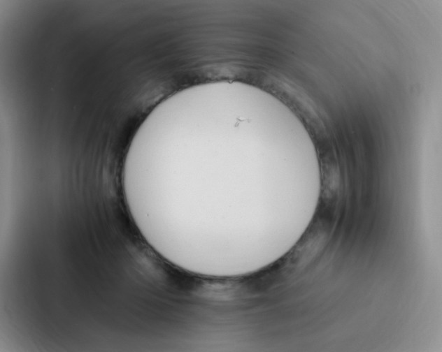 X0000086940414200705141806
