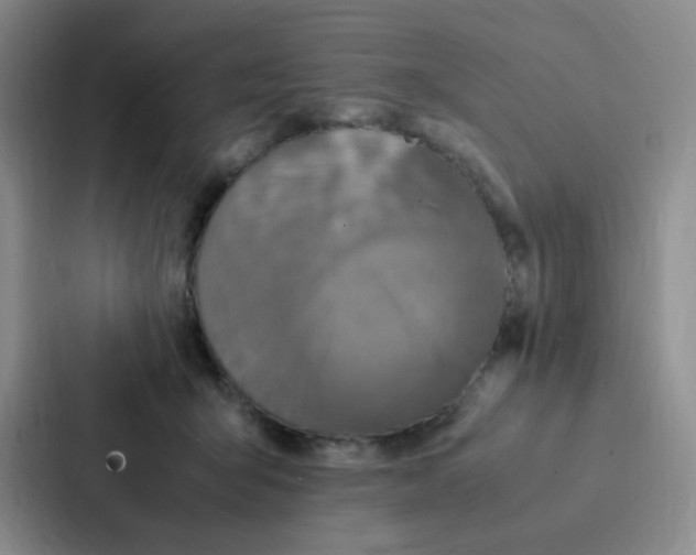X0000086940415200705141806