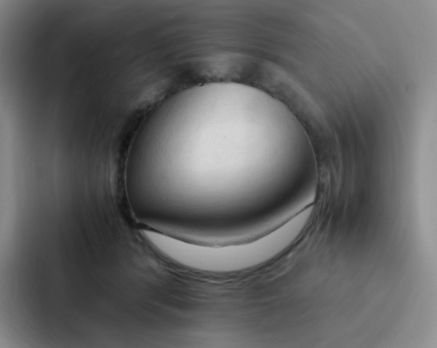 X0000086940416200705141806