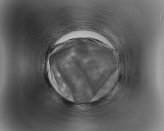 X0000086940417200705141806
