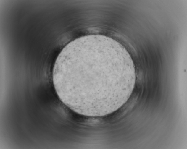 X0000086940418200705141806