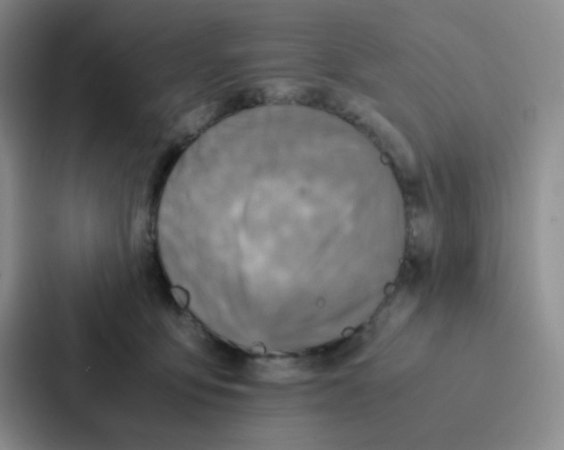 X0000086940419200705141806