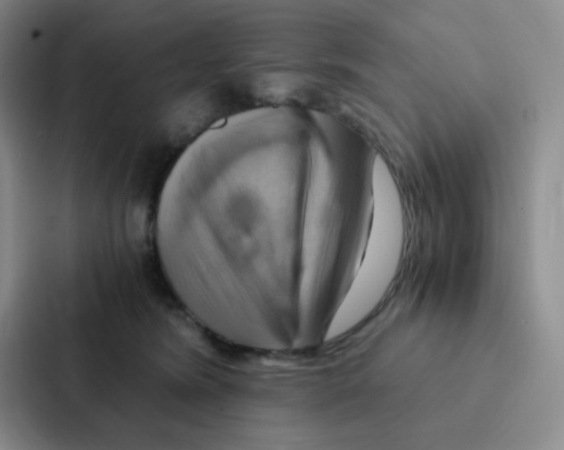 X0000086940420200705141806