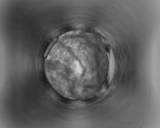 X0000086940421200705141806