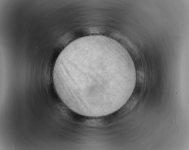X0000086940422200705141806