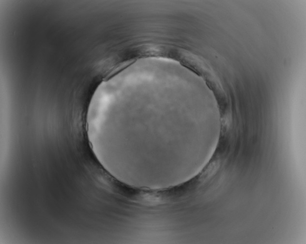 X0000086940423200705141806