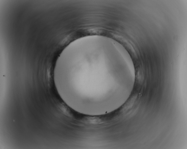 X0000086940424200705141806