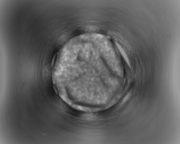 X0000086940425200705141806