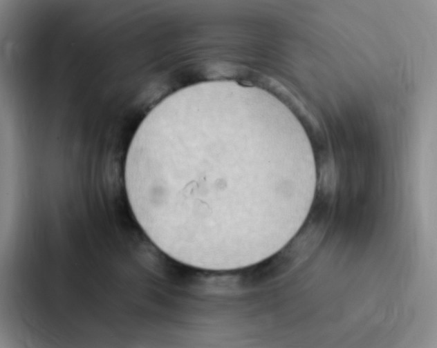 X0000086940426200705141806