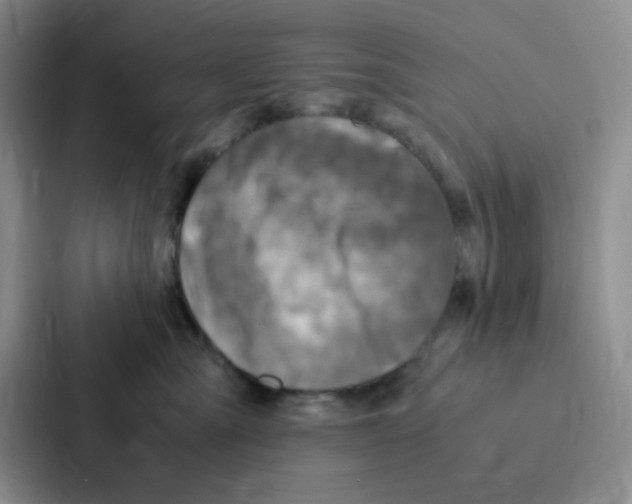 X0000086940427200705141806
