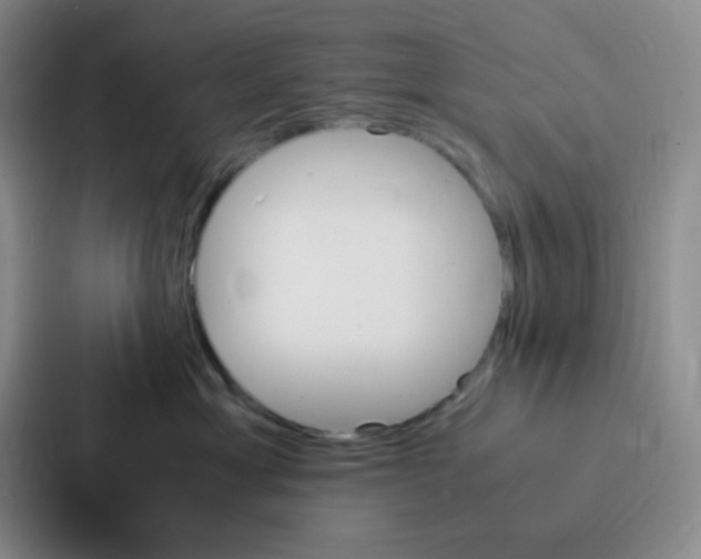 X0000086940429200705141806