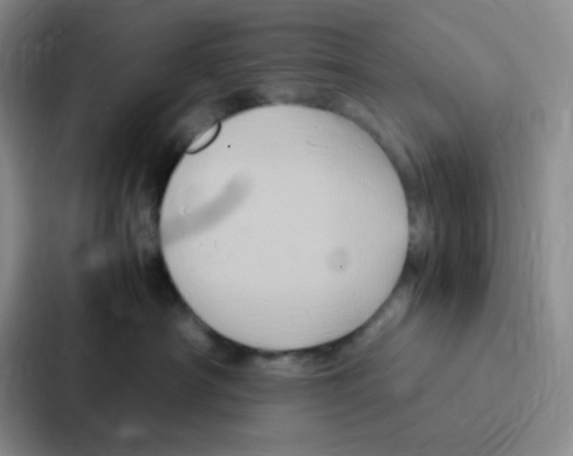 X0000086940430200705141806