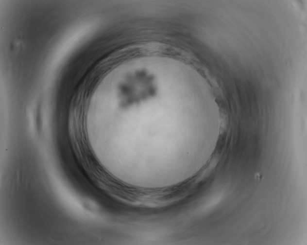 X0000086940431200705141806