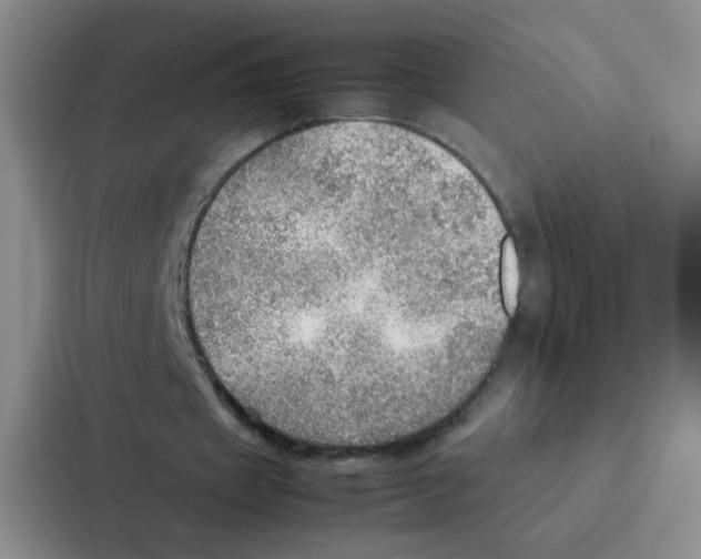 X0000086940433200705141805