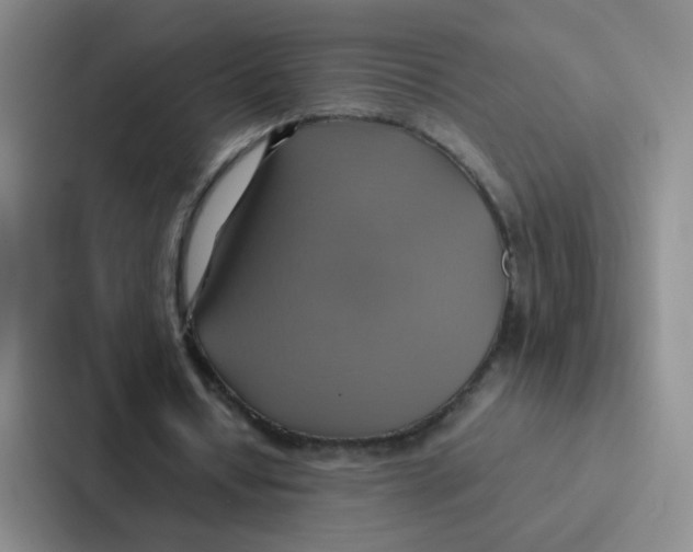 X0000086940434200705141805