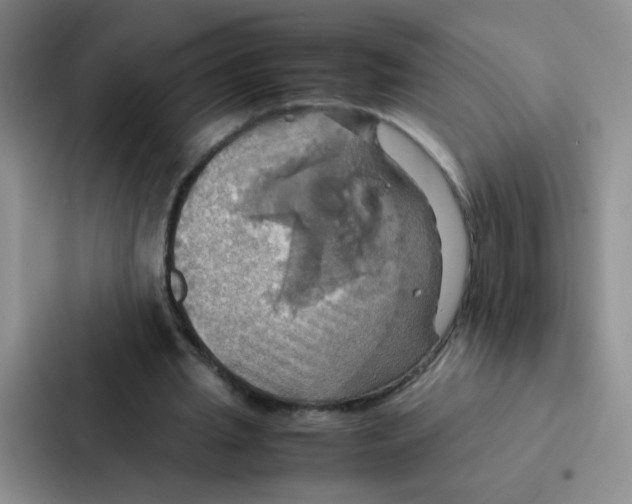 X0000086940437200705141805