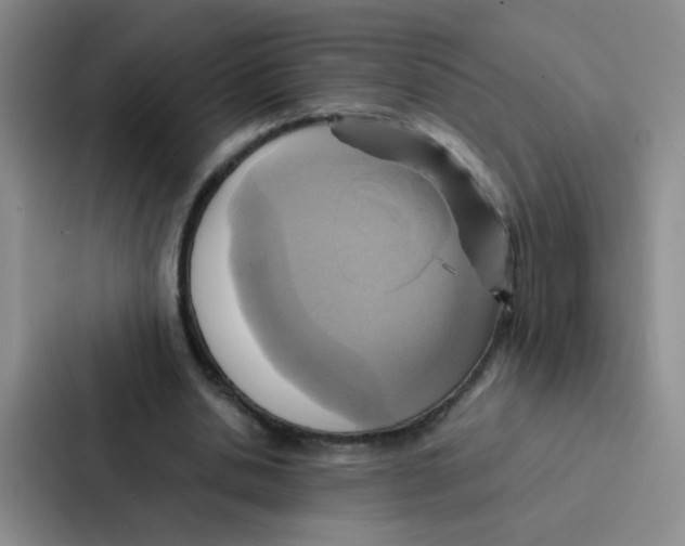 X0000086940438200705141805