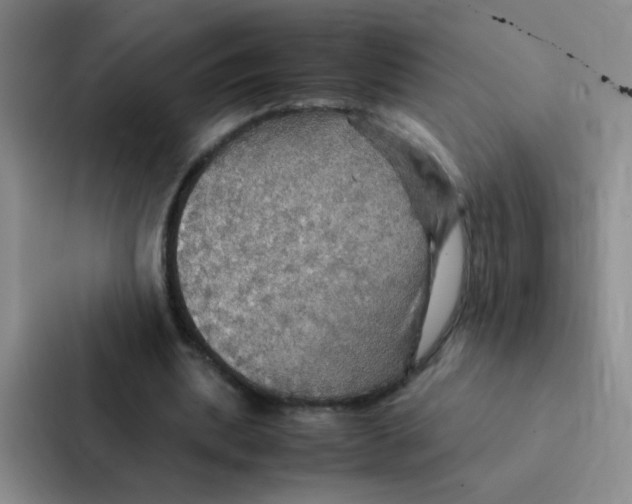 X0000086940439200705141805