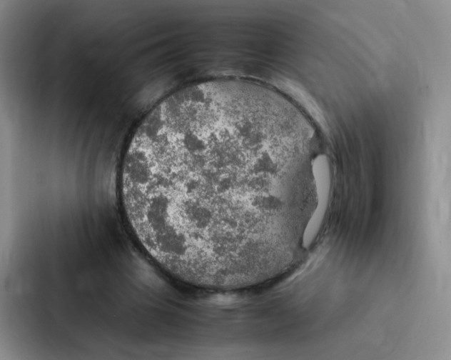 X0000086940441200705141805