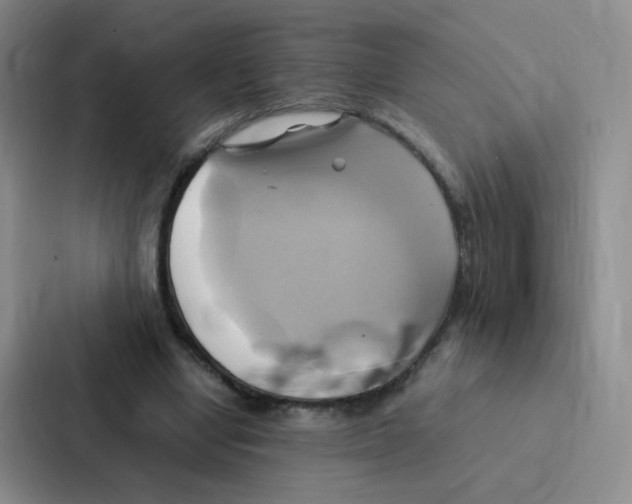 X0000086940442200705141805