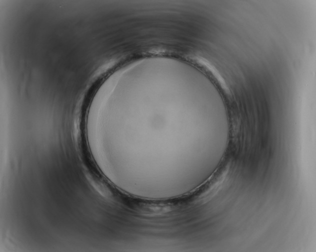 X0000086940443200705141805