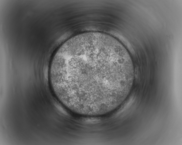 X0000086940445200705141805