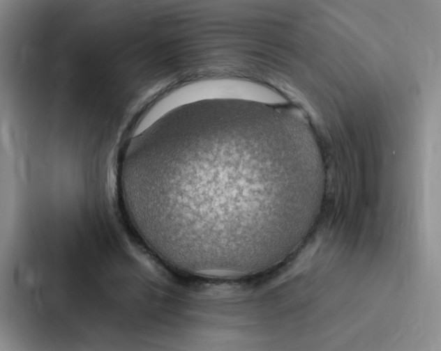 X0000086940446200705141805