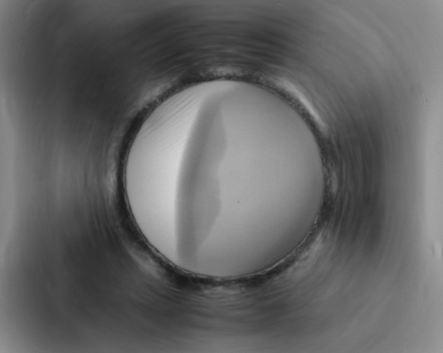 X0000086940447200705141805