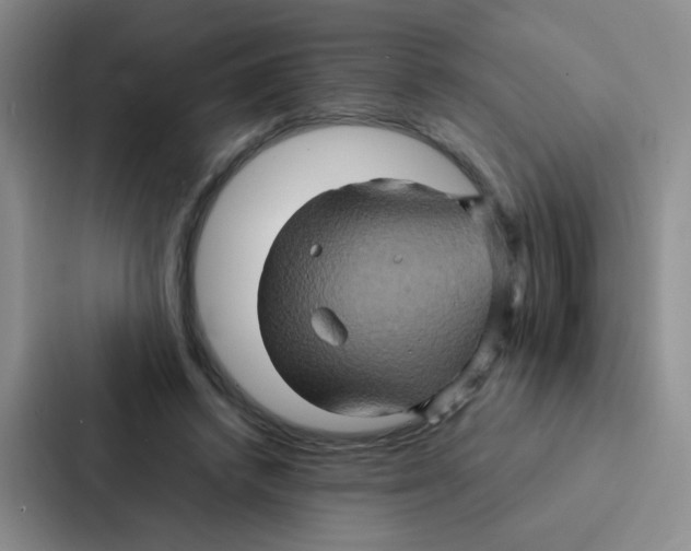 X0000086940448200705141805