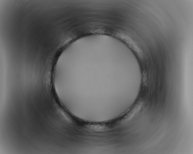 X0000086940449200705141805