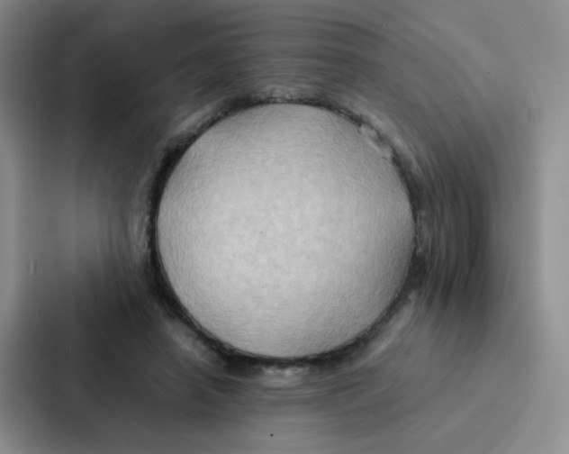 X0000086940450200705141805