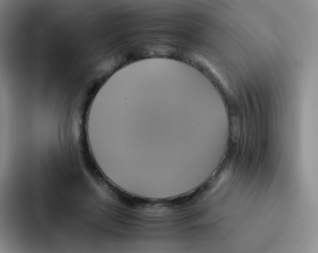 X0000086940451200705141805