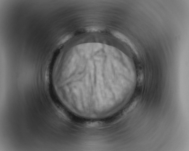 X0000086940452200705141805