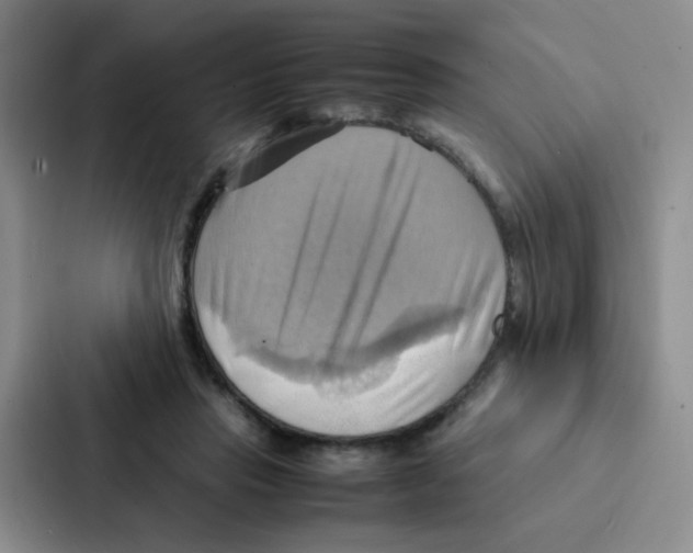 X0000086940453200705141805