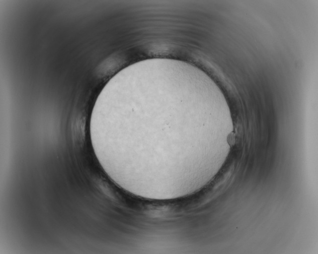 X0000086940454200705141805