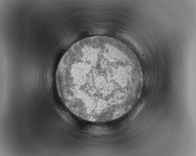X0000086940455200705141805