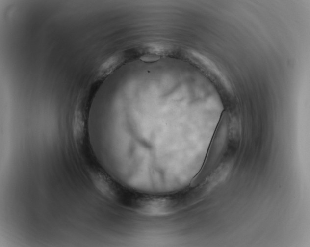 X0000086940456200705141805