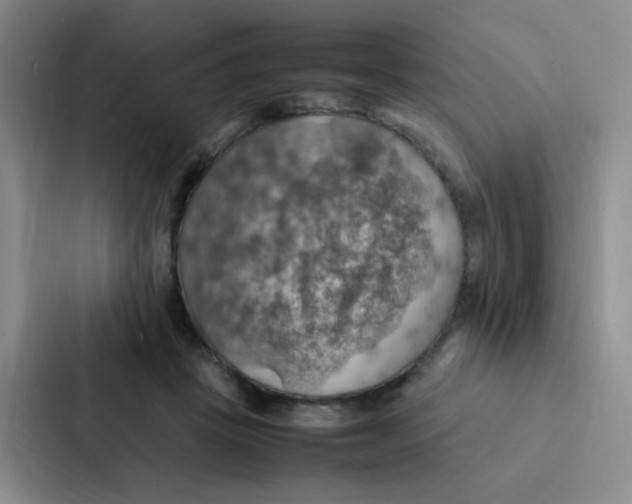X0000086940457200705141805