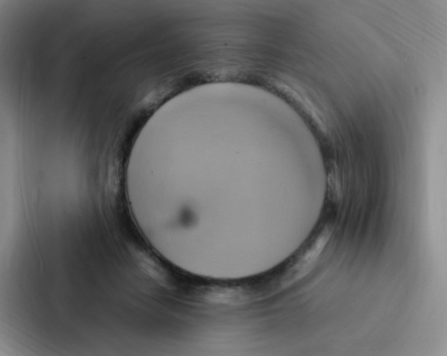 X0000086940458200705141805