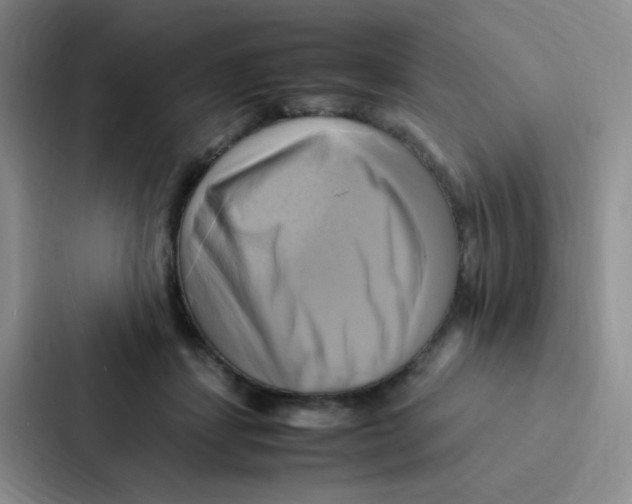 X0000086940459200705141805