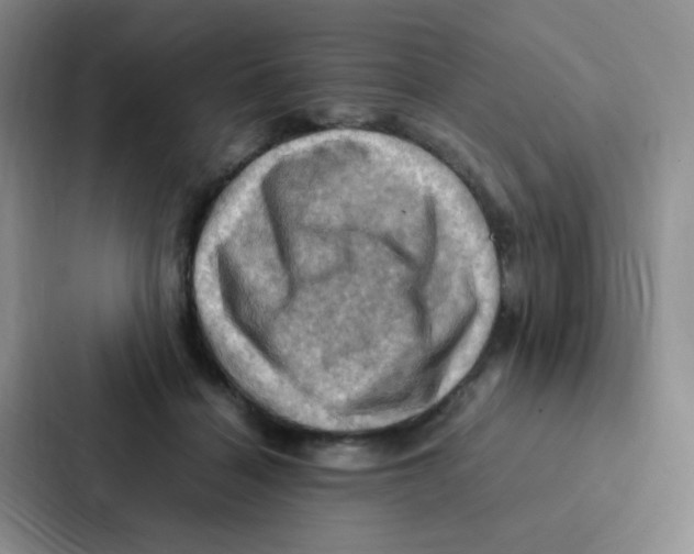 X0000086940460200705141805