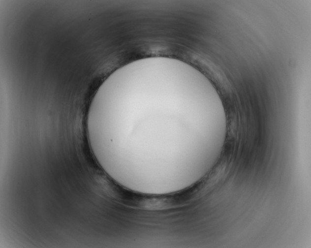 X0000086940461200705141805