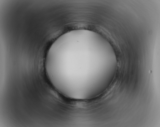X0000086940462200705141805