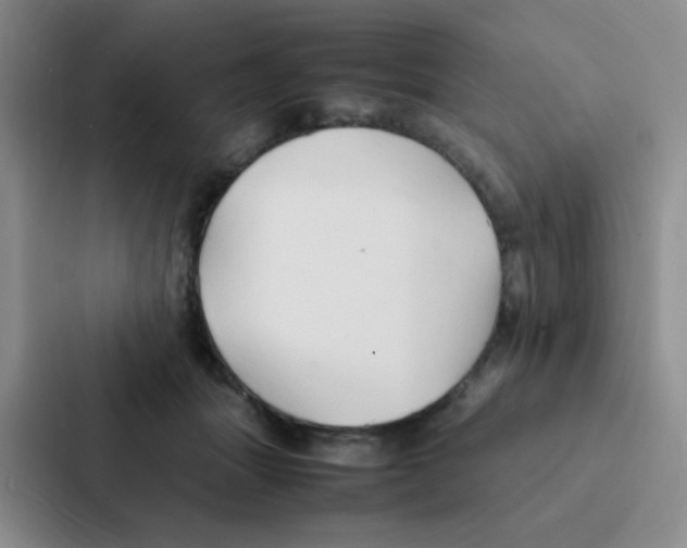 X0000086940463200705141805