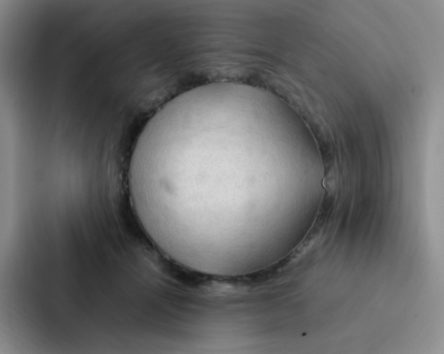 X0000086940464200705141805