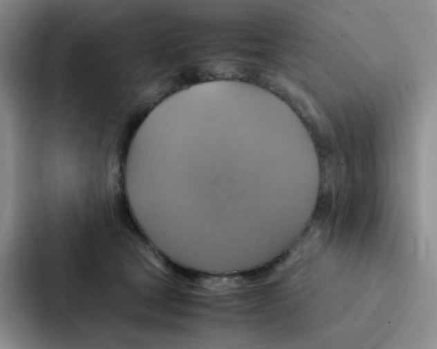 X0000086940465200705141805